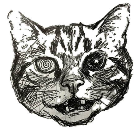 A pencil drawing of a wide-eyed tabby cat face with one spiral eye, one dark eye and a crooked toothy grin